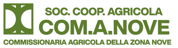 logo-com.a.nove